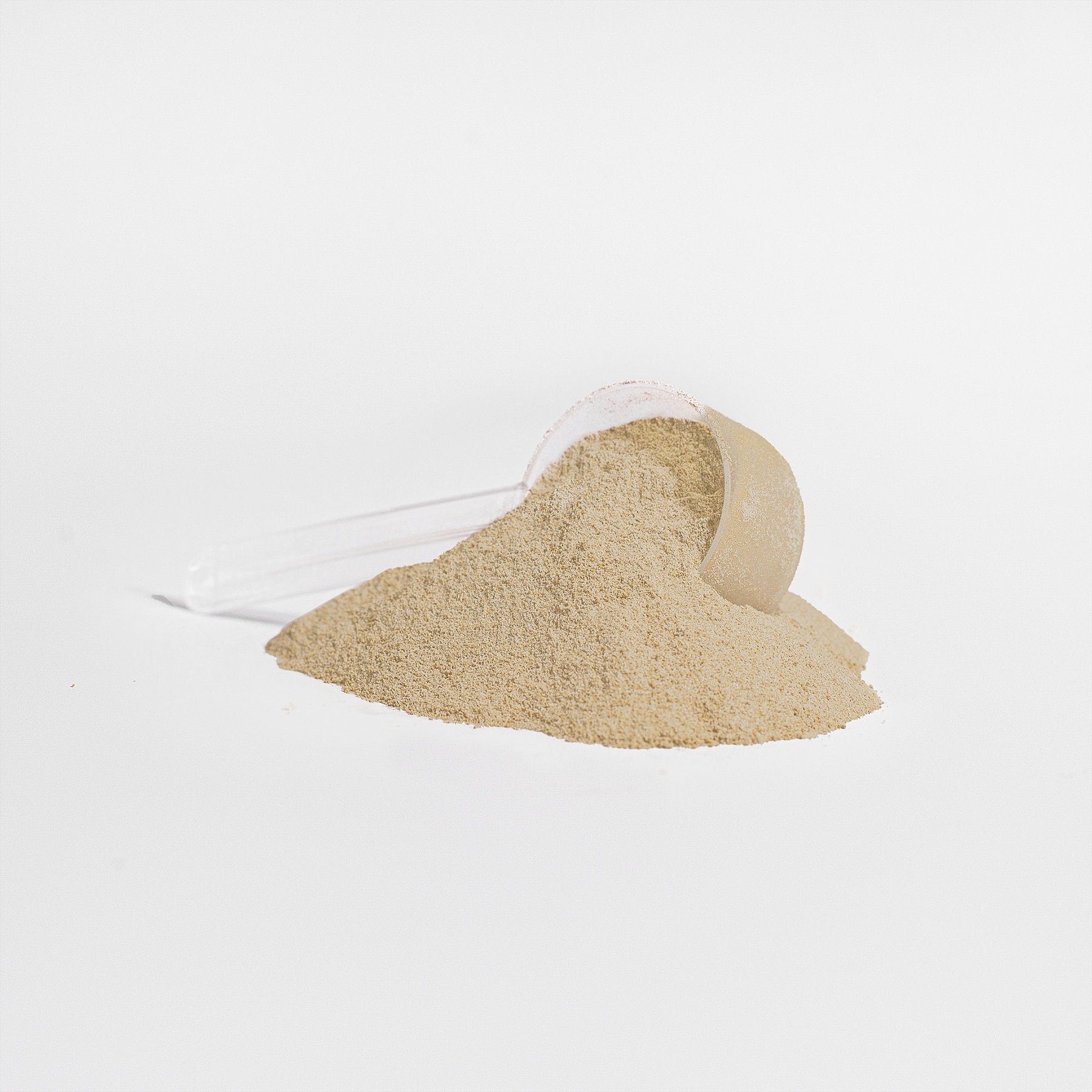 Resilience - Whey Protein Isolate (Vanilla)