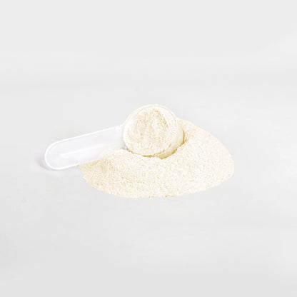 Replenish- Hydration Powder (Passion Fruit)