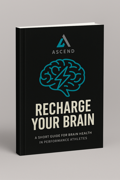 Recharge Your Brain PDF Guide
