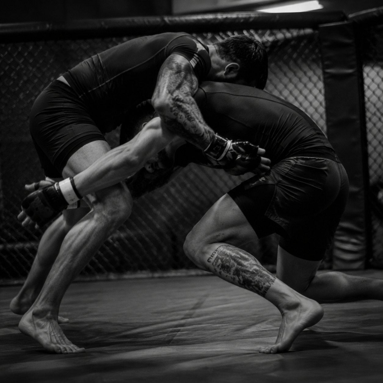 Combat sports training action